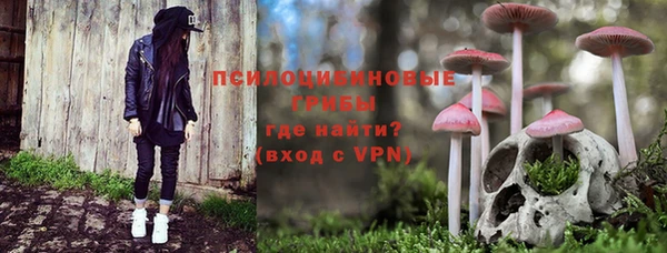 героин Алексин