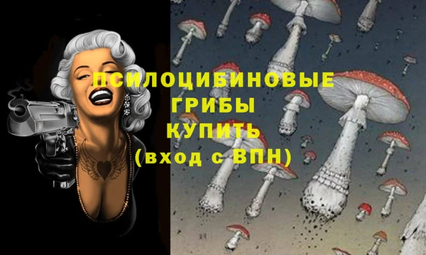 таблы Алзамай