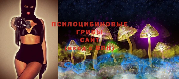 героин Алексин